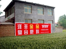 中方如何让墙体广告展现最大化效果