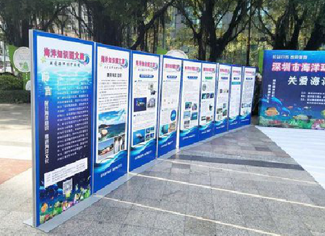 中方KT板的种类和知识。